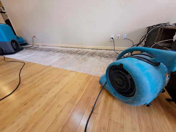 Professional Water Removal technician working in Adelphi, OH